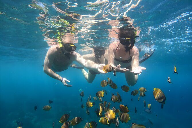 Snorkeling In Nusa Penida Island With Manta Ray From Bali - Underwater GoPro photos: why this is more valuable than it sounds