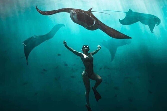 Snorkeling Nusa Penida and Island Tour Package - Three Snorkeling Spots: Manta Point, Wall Point, and Mangrove Point