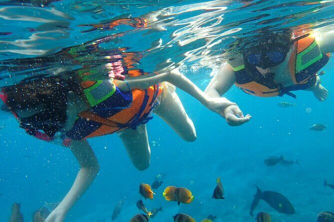 Snorkeling Nusa Penida and Island Tour Package - Who This Nusa Penida Package Fits Best