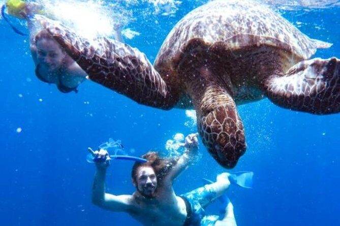 Snorkeling Tour In Gili Trawangan, Gili Meno And Gili Air Pick Up From Bali - The early start that makes this day trip work