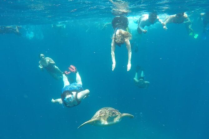 Snorkeling Tour In Gili Trawangan, Gili Meno And Gili Air Pick Up From Bali - Stop 1: Gili Trawangan’s Turtle Spot (30 minutes)