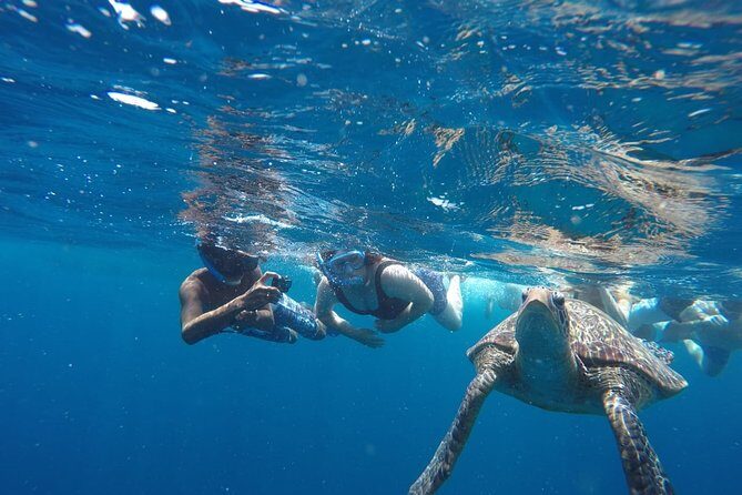Snorkeling Tour In Gili Trawangan, Gili Meno And Gili Air Pick Up From Bali - Stop 2: Gili Meno’s Statue’s Spot and Turtle’s Spot (30 minutes)