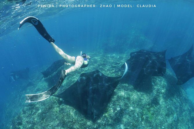 Snorkelling in Nusa Penida - Manta Point - Group size, timing, and how long a day like this really is