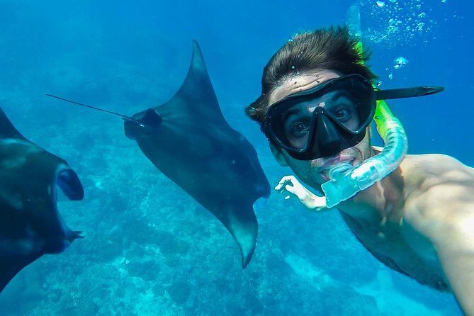 Snorkelling in Nusa Penida - Manta Point - Stop 1: Neptune setup and gear that’s ready before you splash