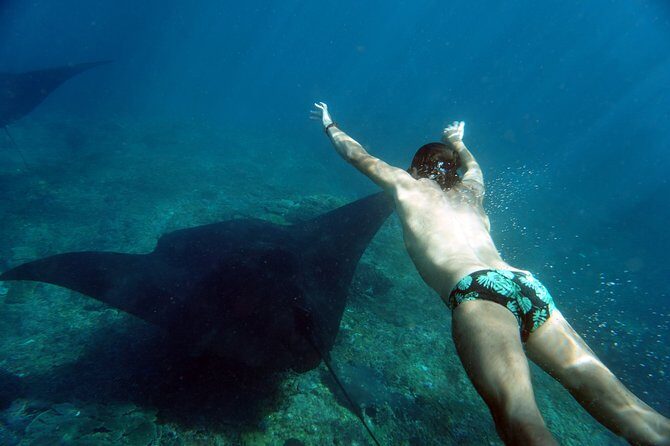 Snorkelling with Manta Rays at Nusa Penida and Lembongan - Stop 1 at Manta Point: what to expect when mantas are the mission