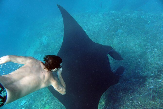Snorkelling with Manta Rays at Nusa Penida and Lembongan - The small-group guide ratio that makes this feel safe and personal