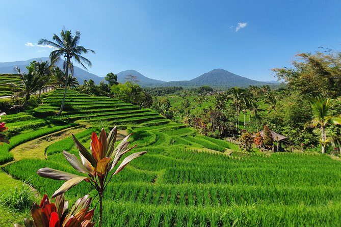 Solo or Group Tour - 10 Hours, 5 Persons Max - Stop 1: I Gusti Ngurah Rai Airport pickup and why it matters