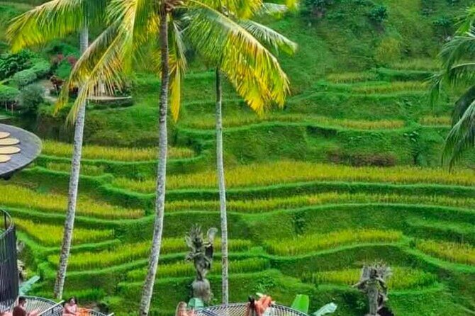 Sunset Sailboat Dinner Cruise & Private Ubud highlights Tour. - The Traditional Phinisi Sunset Dinner Cruise: Where the Day Slows Down
