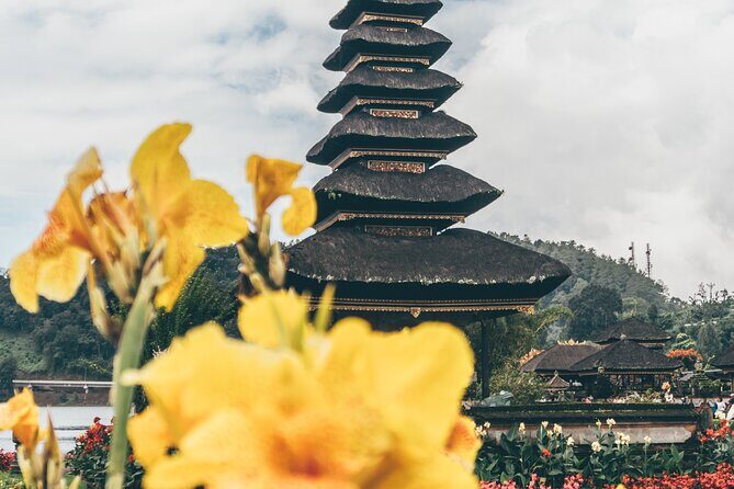 Tanah Lot - Jatiluwih (UNESCO) - Beratan lake -Hidden hill (Wanagiri)-FREE WI-FI - Wanagiri Hidden Hills: swings and bird-nest photo spots above the lakes