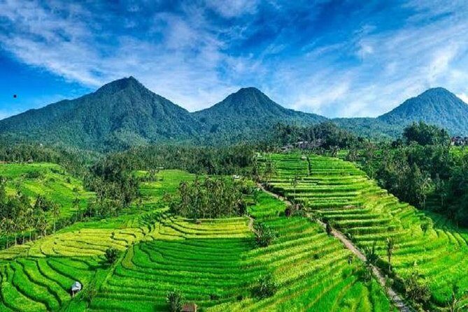 Tanah Lot - Jatiluwih (UNESCO) - Beratan lake -Hidden hill (Wanagiri)-FREE WI-FI - Taman Ayun Temple: the Mengwi royal ancestor stop