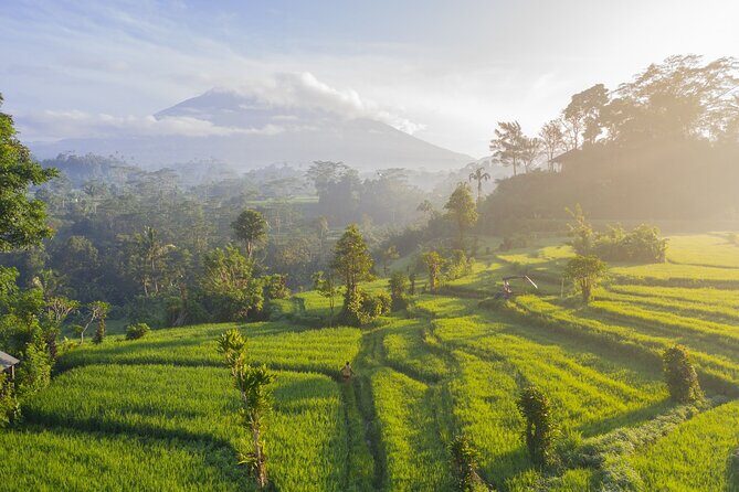 Tanah Lot - Jatiluwih (UNESCO) - Beratan lake -Hidden hill (Wanagiri)-FREE WI-FI - Value and logistics: what you really get for $37.50
