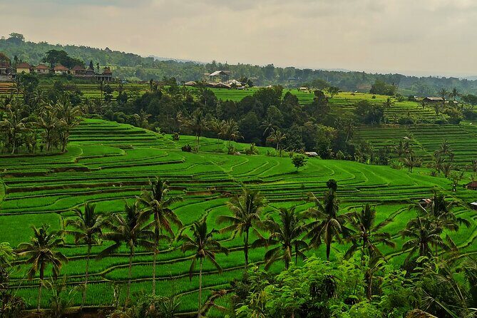 Tanah Lot Tour: Discover Bali’s Iconic Temple and Stunning Views - Stops 4–5: Yeh Ho Waterfalls and Jatiluwih rice terraces