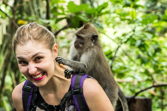 Tanah Lot Tour with Ubud Monkey Forest, Rice Terraces, and Waterfalls - Tanah Lot Temple: rock, crowds, and whether you catch sunset