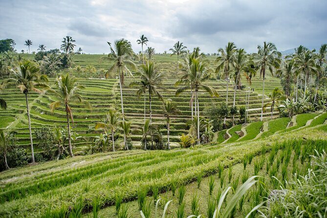 Tanah Lot & UNESCO Heritage Small Group Tour - Who This Tour Is Best For (And Who Should Skip It)