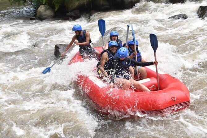 The Best Ayung River Rafting Adventure in Ubud - The included buffet lunch: Indonesian specialties that keep you fueled
