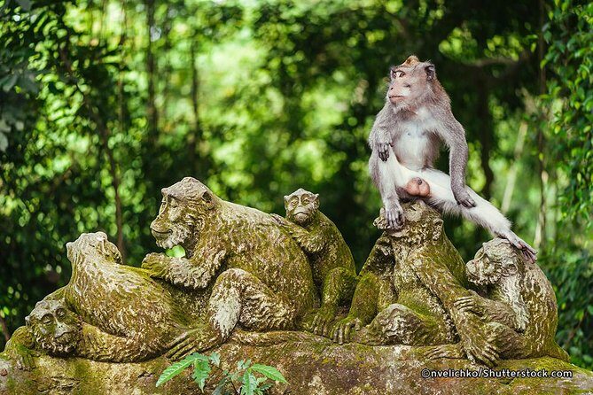 The Best of Ubud Tour and Jungle Swing - Ubud in One Day from Seminyak: How the 8–9 Hours Fits Together