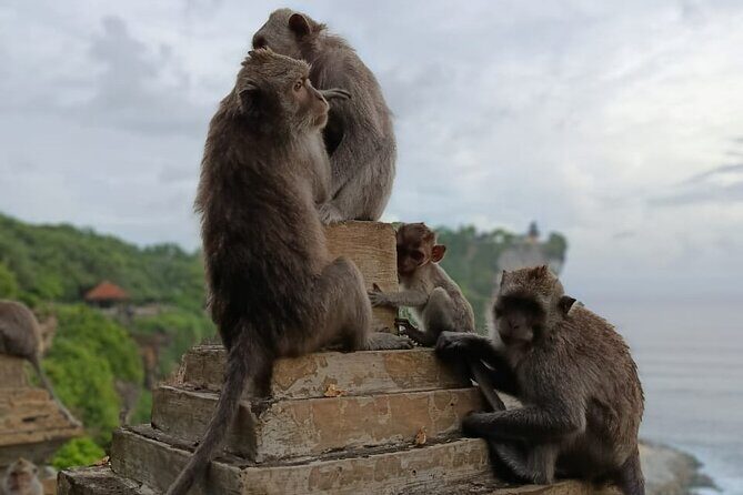 The Uluwatu Tour - Sunset Timing at Uluwatu Temple: Why 3:00 pm Matters