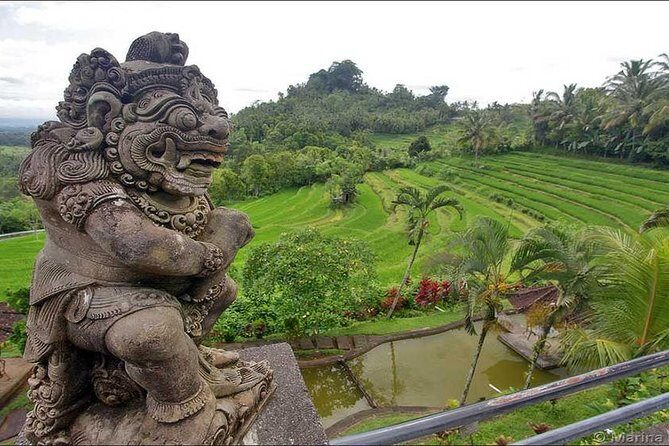 Tour: Besakih Temple-Kintamani Volcano-Water temple&Rice Terrace - Tirta Empul: the holy spring for ritual purification