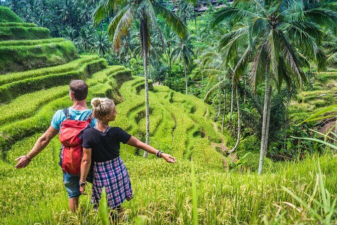 Ubud Adventure All Inclusive Private Day Tour - Price value at $28.56 and what can cost extra