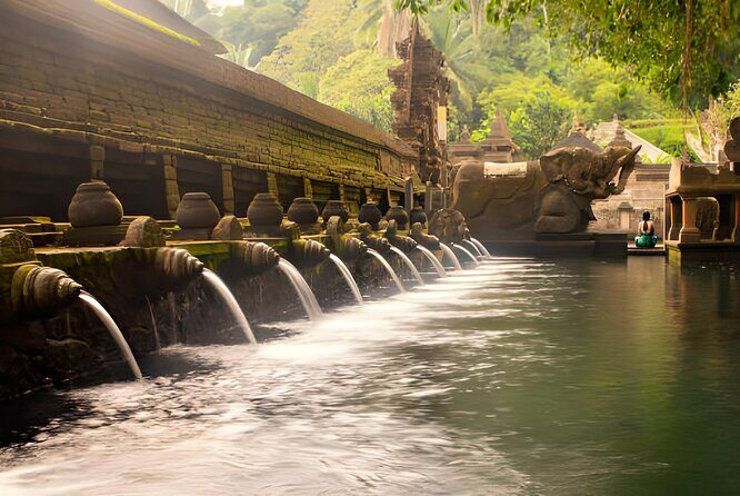 Ubud Bali: Rice Terrace, Waterfall and Tirta empul Day Tour - Goa Gajah (Elephant Cave) for a UNESCO-recognized start