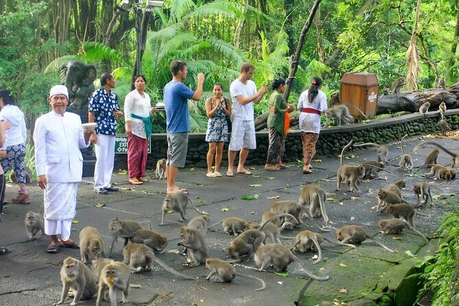 Ubud Day Tour: Sacred Monkey Forest, Tegenungan Waterfall, Rice Terrace - Ubud Palace and the Traditional Art Market: culture plus souvenirs