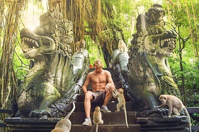 Ubud Day Tour: Sacred Monkey Forest, Tegenungan Waterfall, Rice Terrace - Private driver value: what you’re really paying for