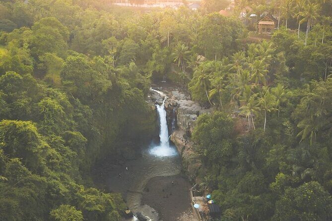 Ubud Day Tour: Sacred Monkey Forest, Tegenungan Waterfall, Rice Terrace - Tegenungan Waterfall: how to enjoy the 20-meter drop without paying for it later