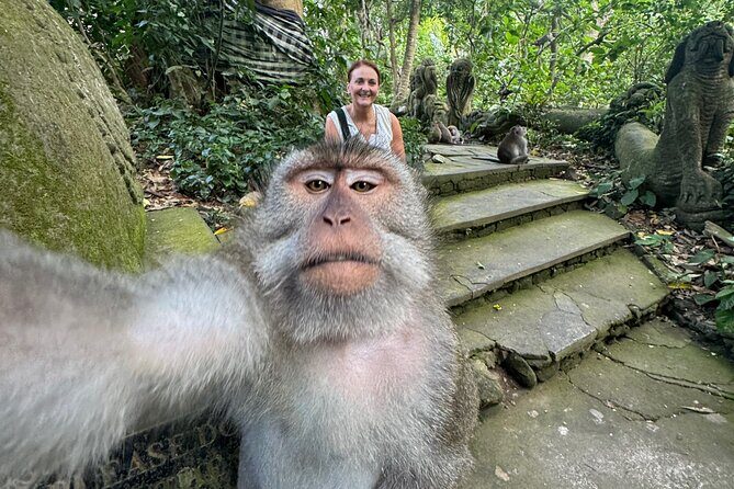 Ubud Day Tour with Private Car & Local Driver - Tirta Empul Temple: Holy Spring Water and the Vishnu Connection