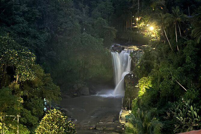 Ubud Day Tour with Private Car & Local Driver - Monkey Forest Sanctuary and Batuan Temple: Budget for Entry Tickets