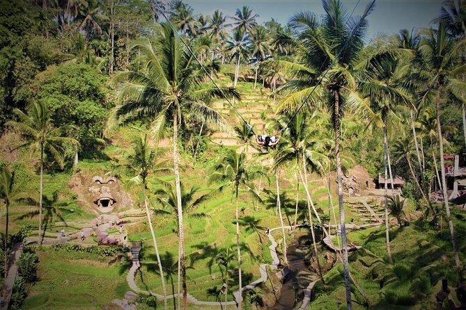 Ubud Experience | Full Day Private Tour in Ubud | FREE WIFI - Pura Tirta Empul: where purification is the point