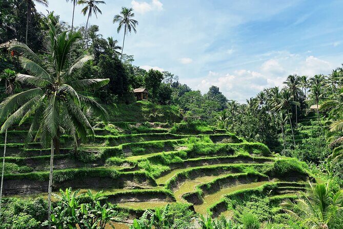 Ubud Experience | Full Day Private Tour in Ubud | FREE WIFI - Saraswati Temple, Ubud art market, and Batuan Temple: culture breaks between big sights