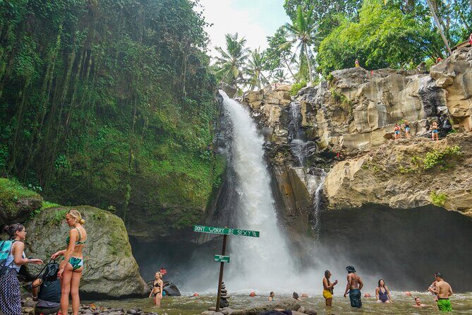 Ubud Experience | Full Day Private Tour in Ubud | FREE WIFI - Sacred Monkey Forest Sanctuary: plan for monkeys, not just photos