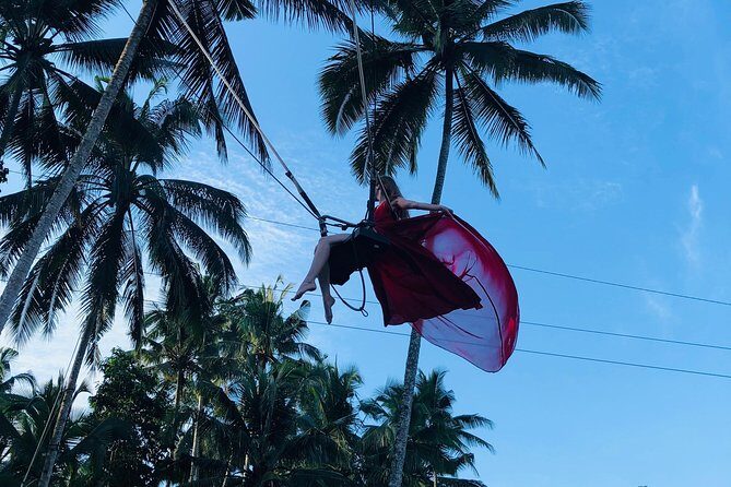 Ubud Experience ; Swing, Waterfalls, Art Market, Rice Terrace - Price and ticket value: what $41.67 really buys you
