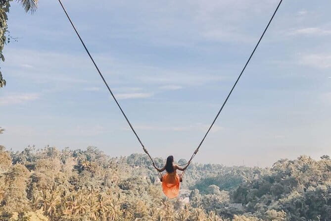 Ubud Full Day - Monkey Forest, Rice Terrace and Waterfalls Tour - Key points worth knowing before you go