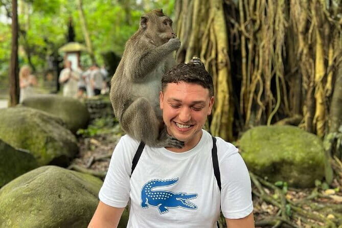 Ubud Full Day - Monkey Forest, Rice Terrace and Waterfalls Tour - Why this Ubud day tour works so well