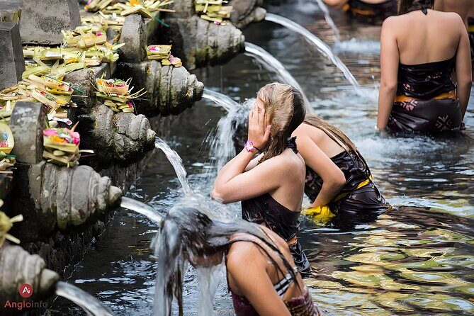 Ubud Highlights Rice Terraces, Temple, Waterfall & Monkeys forest - Private driver-guide: the real value in Ubud
