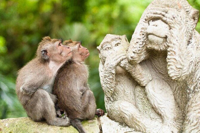 Ubud Kintamani Tour - Key things to notice before you go