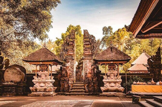 Ubud Private Tour - The Bali driver/guide factor: what the best reviews consistently highlight