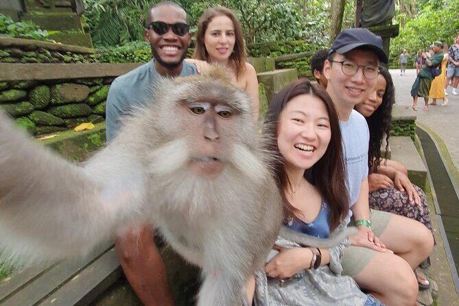 Ubud Private Tour - Should you book this Ubud private tour?