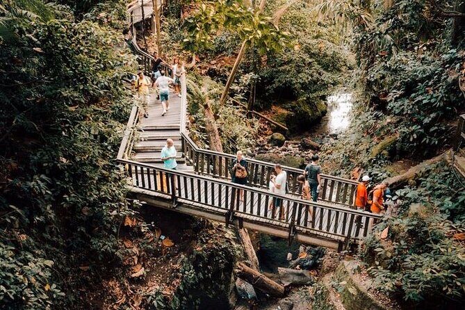 Ubud Private Tour: Monkey Forest, Rice Terrace, Temple, Waterfall - What This Tour Feels Like in Real Life