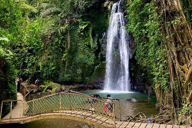 Ubud Private Tour: Monkey Forest, Rice Terrace, Temple, Waterfall - Tegalalang Rice Terraces: Iconic Valley Views