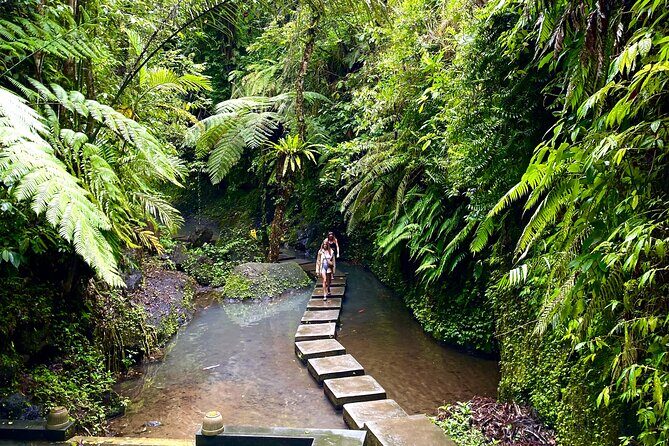 Ubud Private Tour: Monkey Forest, Rice Terrace, Temple, Waterfall - Ulu Petanu Waterfall: The Part Where You Can Cool Off