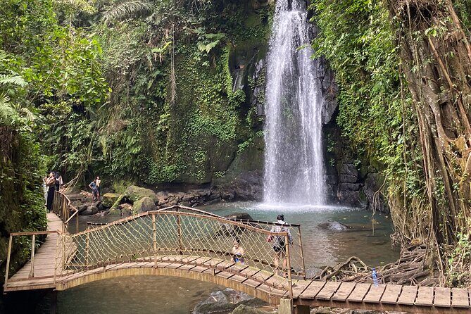 Ubud Private Tour: Monkey Forest, Rice Terrace, Temple, Waterfall - Tirta Empul Temple: Holy Spring Water and Wishes