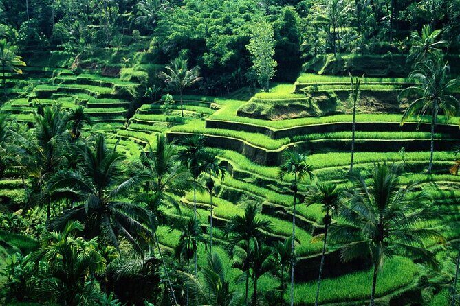 Ubud Private Tour : Ubud Temple and Authentic of Ubud - Price and What You’ll Pay Besides the Base Rate