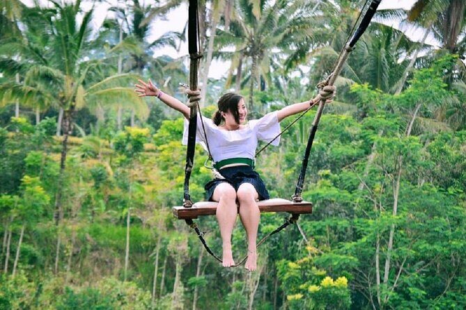 Ubud Private Tour : Ubud Temple and Authentic of Ubud - Sacred Monkey Forest Sanctuary: More Than Just Monkeys