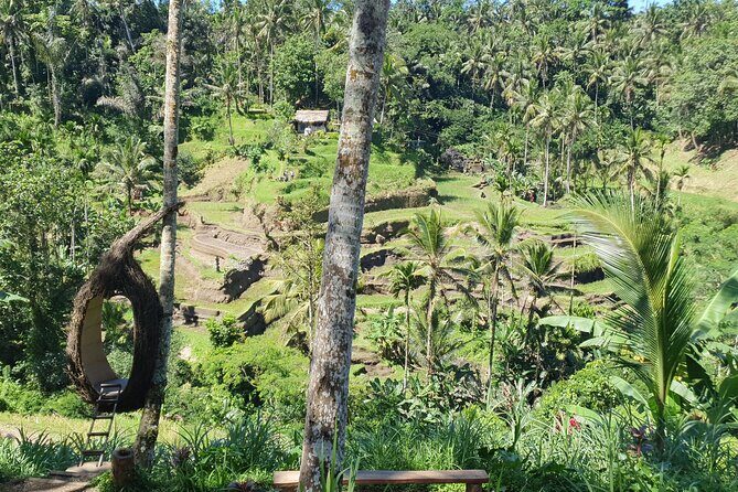 Ubud Private Tour - Is $100 per person a fair deal? Here’s where the value really comes from