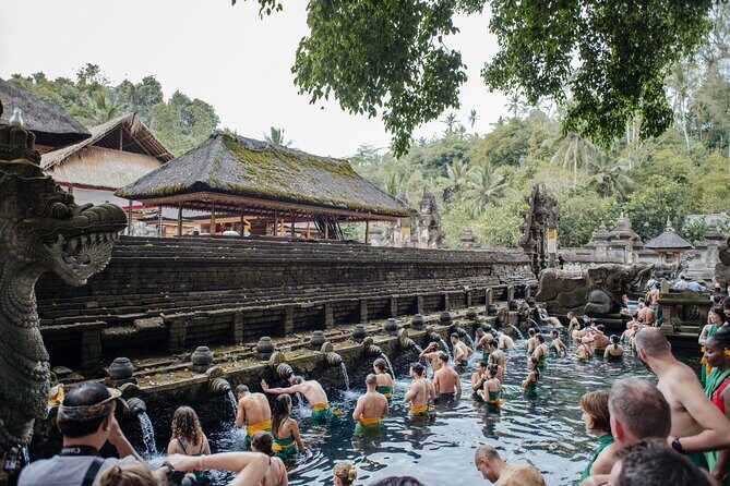 Ubud Small Group Tour: Monkey Forest, Tegalalang Rice Terraces and more - A tight Ubud highlights circuit (and how to make it worth your time)