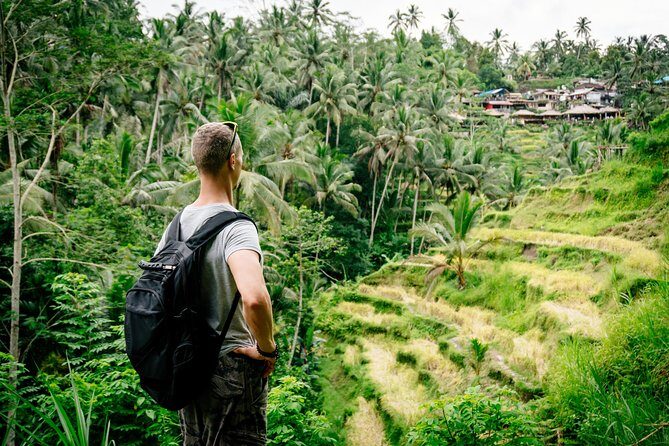 Ubud Small Group Tour: Monkey Forest, Tegalalang Rice Terraces and more - What you actually pay: $18 plus entrance fees and extras