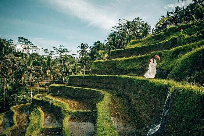 Ubud: Swing - Monkey Forest - Waterfall - Temple - Rice Terraces - Art Crafts - A first-timer Ubud day that doesn’t feel like a checklist
