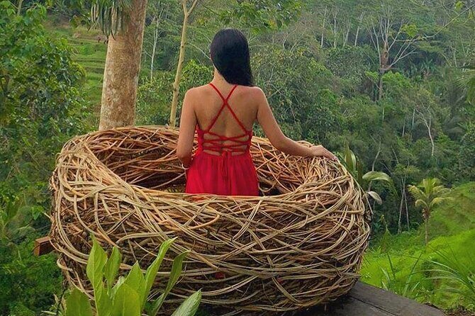 Ubud: Swing - Monkey Forest - Waterfall - Temple - Rice Terraces - Art Crafts - Practical tips for a smooth 8–10 hours
